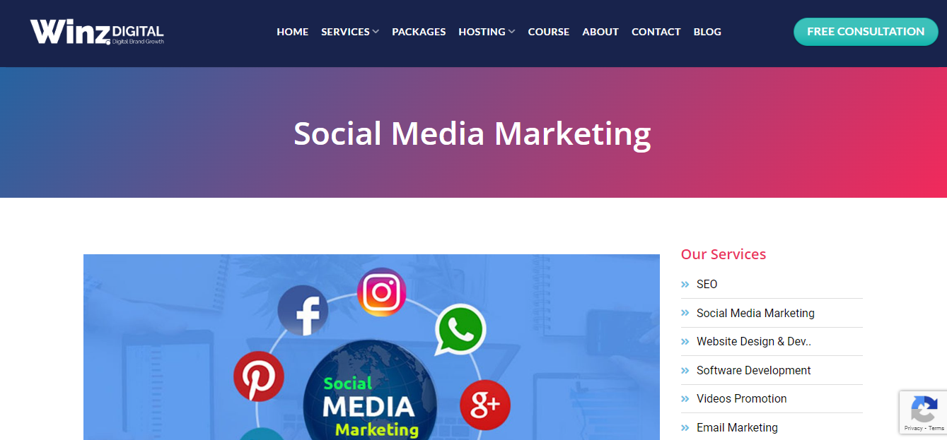 Winz-Digital-Social-Media-Marketing-Company-In-Amritsar Social Media Marketing Company In Amritsar