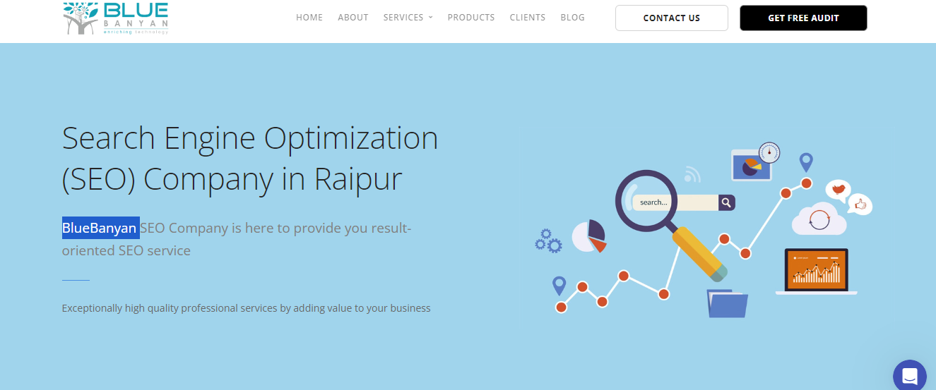 BlueBanyan- SEO company In Raipur