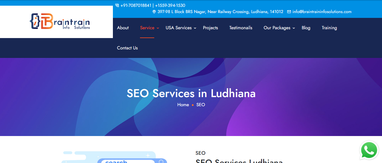 Brain-Train-in-Ludhiana SEO company In Ludhiana