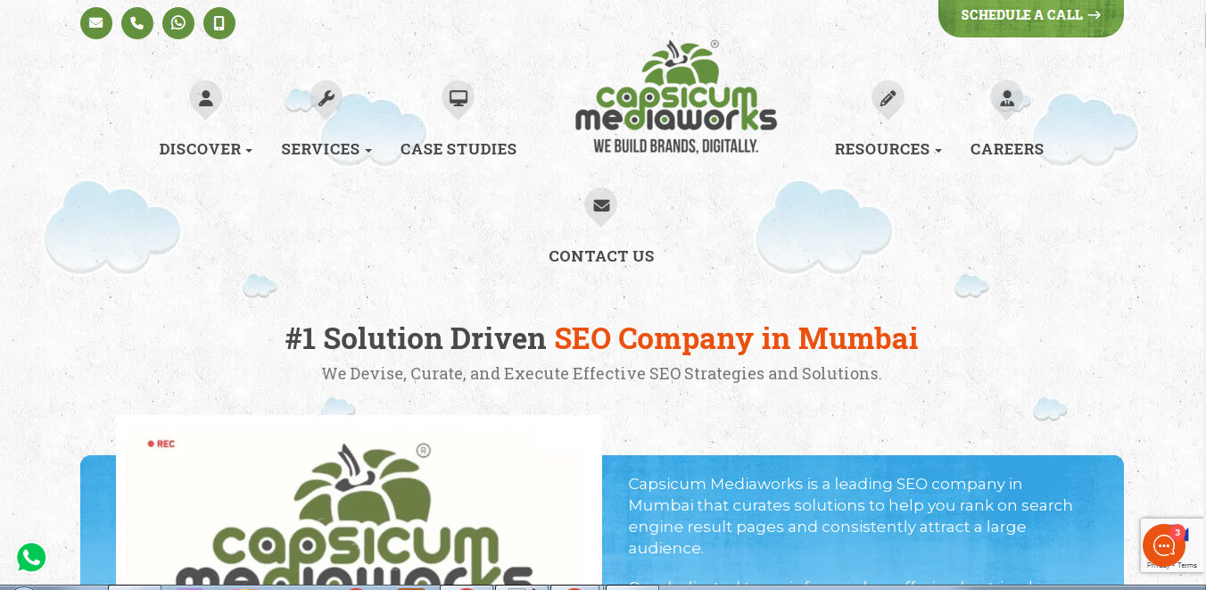 Capsicum SEO Company In Mumbai