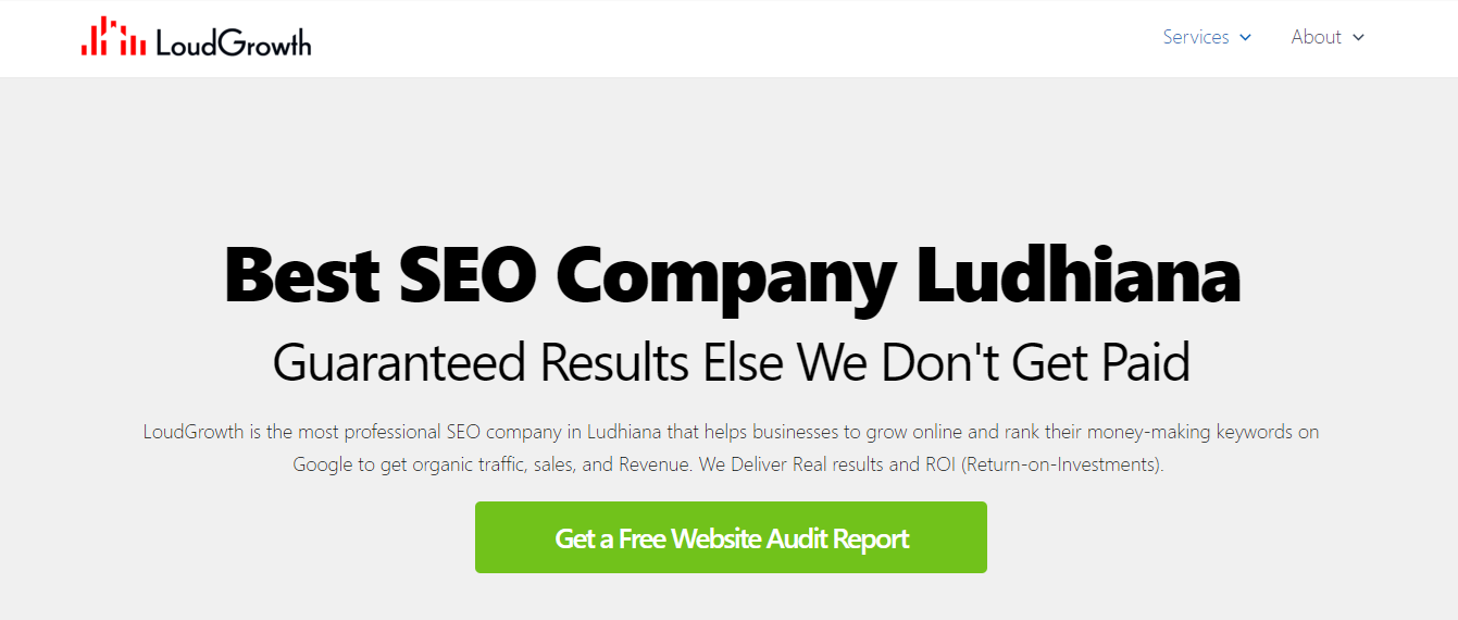 Loud-Growth-in-Ludhiana SEO company In Ludhiana