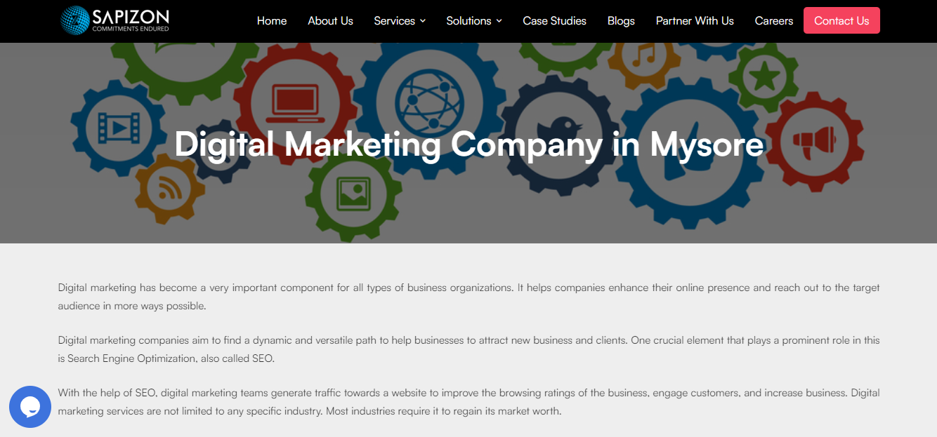 Sapizon-Digital-Marketing-company-in-Mysore Digital Marketing company In Mysore