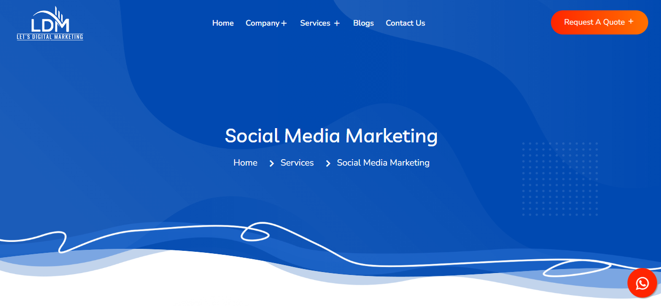 LDM-Social-Media-Marketing-Company-In-Jamnagar Social Media company In Jamnagar