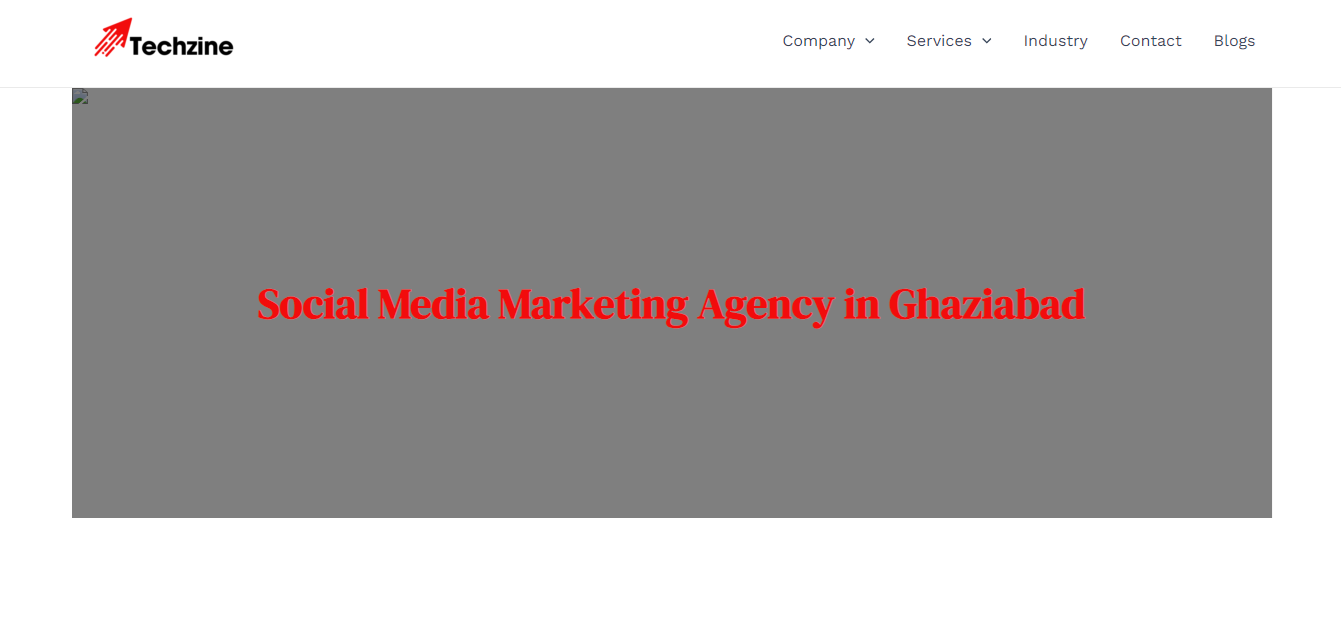 Tech-Zine-Media-Social-Media-Marketing-Company-In-Ghaziabad Social Media Marketing Company In Ghaziabad